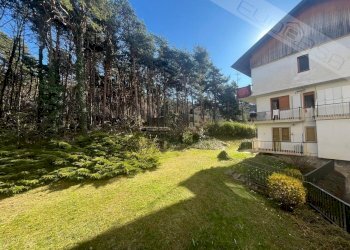 Three-room apartment Viale Della Pineta , Perosa Argentina - photo 22