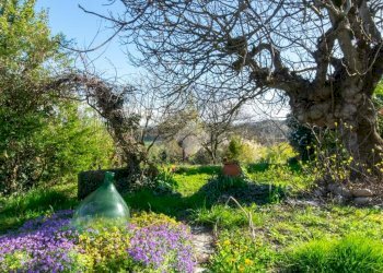 Casa indipendente Via Serra, Camino - foto 3