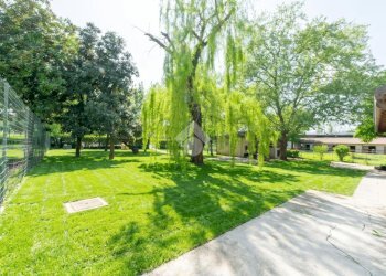 Attività Commerciale Via Occimiano, Conzano - foto 4