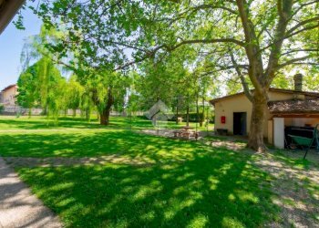 Attività Commerciale Via Occimiano, Conzano - foto 14