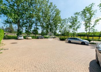 Attività Commerciale Via Occimiano, Conzano - foto 15