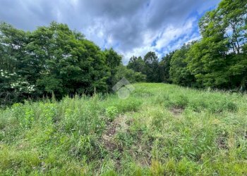 Terreno agricolo Via Rubiana, Givoletto - foto 1