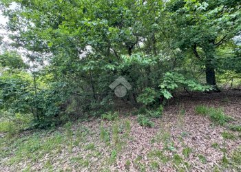 Terreno agricolo Via Rubiana, Givoletto - foto 2