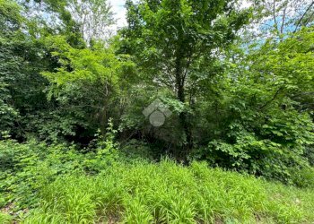 Terreno agricolo Via Rubiana, Givoletto - foto 3