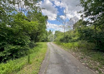 Terreno agricolo Via Rubiana, Givoletto - foto 5