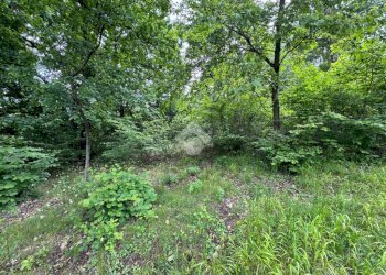 Terreno agricolo Via Rubiana, Givoletto - foto 6