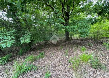 Terreno agricolo Via Rubiana, Givoletto - foto 9