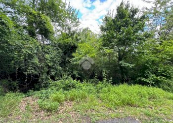 Terreno agricolo Via Rubiana, Givoletto - foto 10