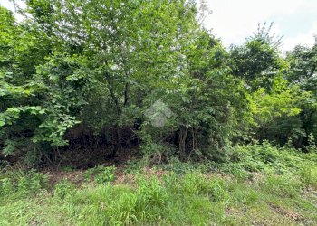 Terreno agricolo Via Rubiana, Givoletto - foto 11