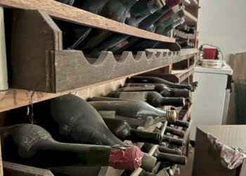 Cantina / Solaio Pitigliano - foto 5