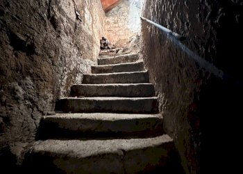 Cantina / Solaio Pitigliano - foto 15