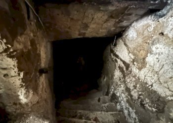 Cantina / Solaio Pitigliano - foto 16