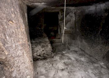 Cantina / Solaio Pitigliano - foto 18