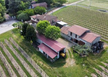 Villa Vicolo Pilastrino, 8, Solarolo - foto 37