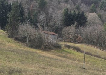 Rustic Montecreto - photo 6