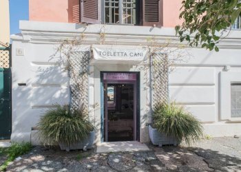 Commercial Activity Via Crati, Roma - photo 3