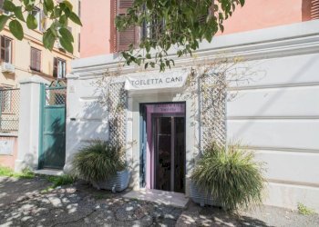 Commercial Activity Via Crati, Roma - photo 4