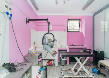 Commercial Activity Via Crati, Roma - photo 8