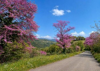 Rustic Località Case Sparse Macchianlunga, Ferentillo - photo 35