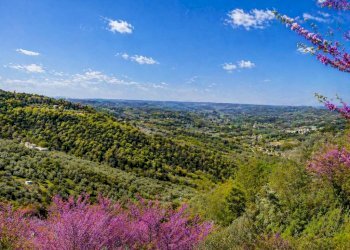Rustic Località Case Sparse Macchianlunga, Ferentillo - photo 37