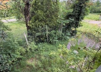 Villa Modena - photo 37