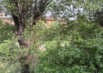 Villa Modena - photo 48