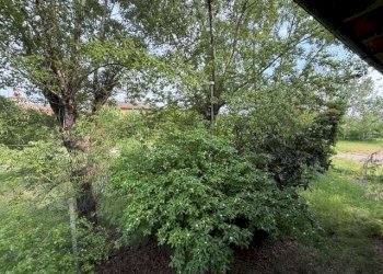 Villa Modena - photo 49