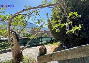 Foto 15 - Terreno agricolo Via Alessandro Passerin D'Entreves, Aosta - foto 15