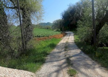 Foto 9 - Rustic localita'  casacolonna
 
1, Sassoferrato - photo 9