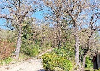 Foto 11 - Rustic localita'  casacolonna
 
1, Sassoferrato - photo 11