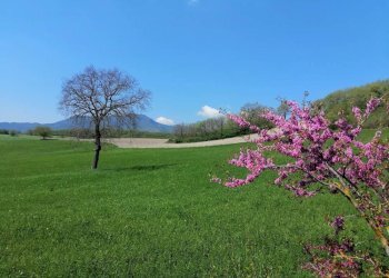 Foto 12 - Rustic localita'  casacolonna
 
1, Sassoferrato - photo 12