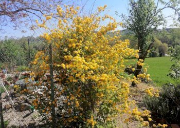 Foto 14 - Rustic localita'  casacolonna
 
1, Sassoferrato - photo 14