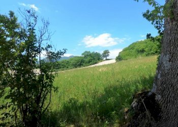 Foto 16 - Rustico localita'  casacolonna
 
1, Sassoferrato - foto 16