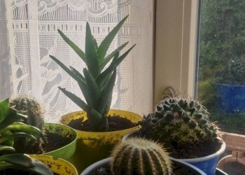 Foto 4 - Apartment Via Gioberti, Carcare - photo 4