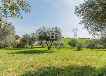 Foto 5 - Villa Via Viola
 
4, Misano Adriatico - photo 5