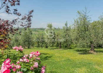 Foto 40 - Villa via giardino
 
26, San Clemente - foto 40