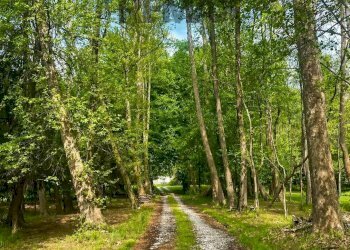 Giardino - Rustic Via Casa Prada
 
1, Cuveglio - photo 19