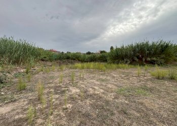 Giardino - Building land c.da Bottiglieri
 
snc, Lentini - photo 13