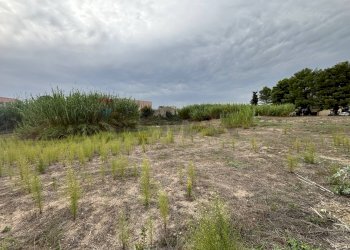 Giardino - Building land c.da Bottiglieri
 
snc, Lentini - photo 14