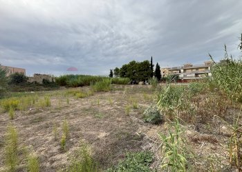 Giardino - Building land c.da Bottiglieri
 
snc, Lentini - photo 16