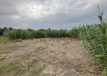 Giardino - Building land c.da Bottiglieri
 
snc, Lentini - photo 20