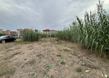 Giardino - Building land c.da Bottiglieri
 
snc, Lentini - photo 21