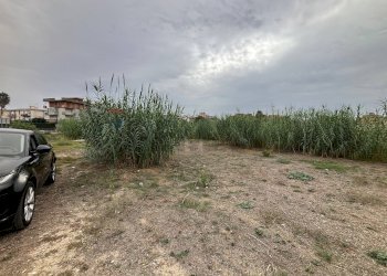 Giardino - Building land c.da Bottiglieri
 
snc, Lentini - photo 24