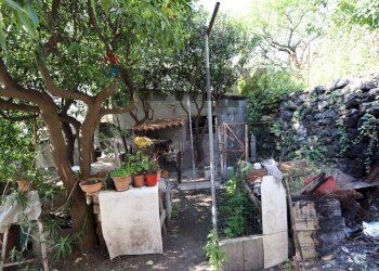 Giardino - Casa indipendente Via Civì
 
31, Fiumefreddo di Sicilia - foto 26