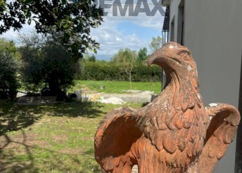 Giardino - Casa indipendente Capannori - foto 5