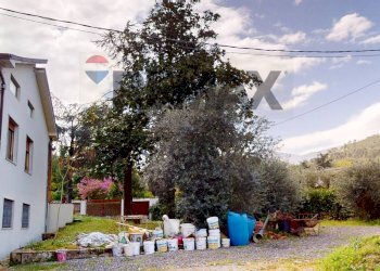 Giardino - Casa indipendente Capannori - foto 9