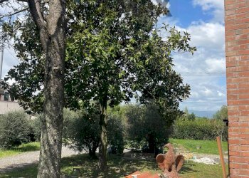 Giardino - Casa indipendente Capannori - foto 10