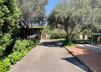 Giardino - Baita Vicolo Della Stazione Di Pavona
 
48, Roma - foto 25