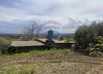 Giardino - Terreno agricolo Via Sicilia, Calatabiano - foto 9
