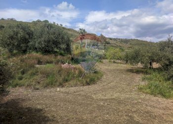 Vista delle montagne - Terreno agricolo Via Sicilia, Calatabiano - foto 15